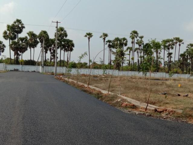 Residential Plot in Thagarapuvalasa for resale Visakhapatnam. The reference number is 17813879