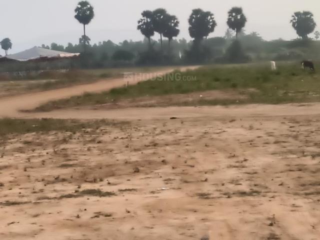 Residential Plot in Thagarapuvalasa for resale Visakhapatnam. The reference number is 19391686