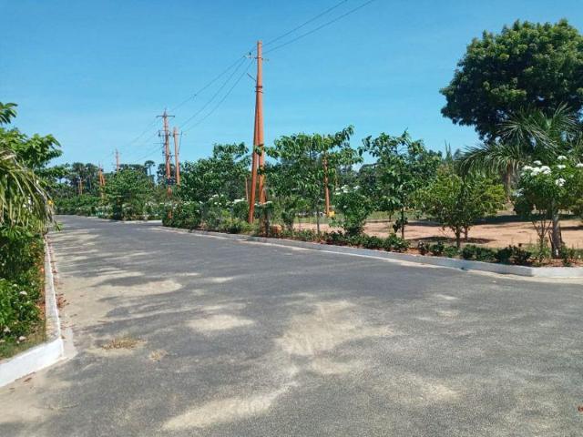 Residential Plot in Thagarapuvalasa for resale Visakhapatnam. The reference number is 20320219