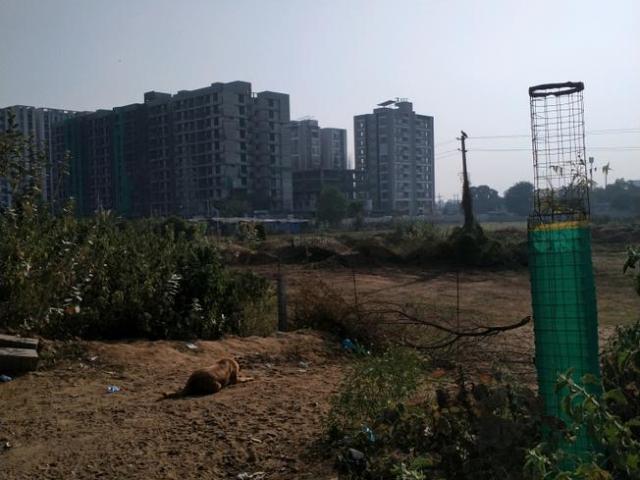 Residential Plot in Thaltej for resale Ahmedabad. The reference number is 17634532