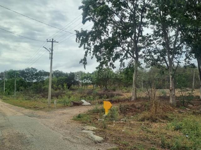 Residential Plot in Thimmaipally for resale Siddipet. The reference number is 20906096