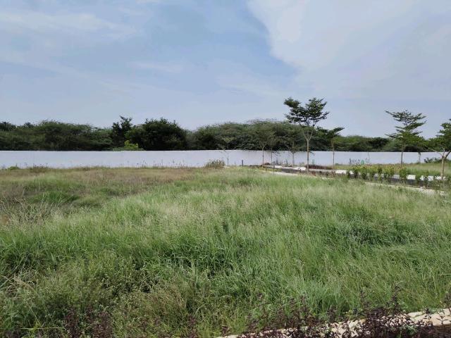 Residential Plot in Thirumazhisai for resale Chennai. The reference number is 10867548