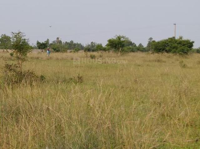 Residential Plot in Thiruporur for resale Chennai. The reference number is 20596929