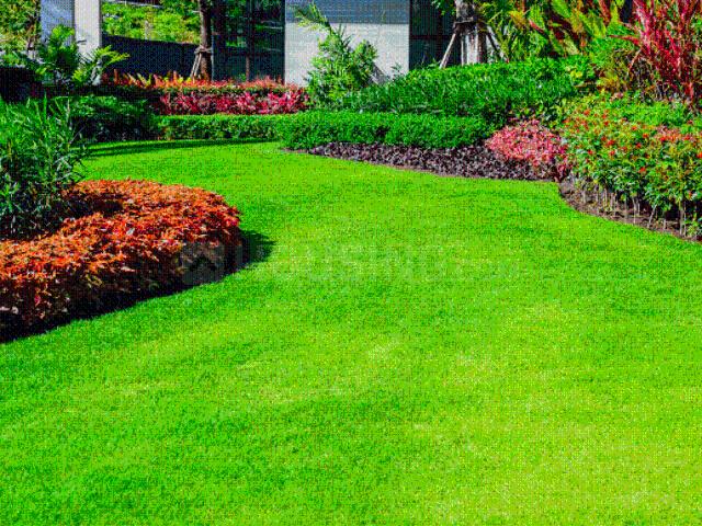 Residential Plot in Thiruvallur for resale Chennai. The reference number is 20653339