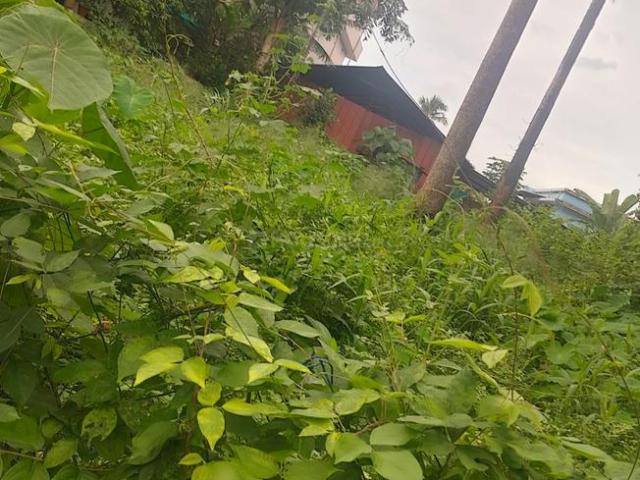 Residential Plot in Thiroor for resale Thrissur. The reference number is 20582174