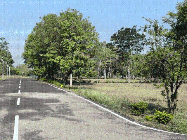 Residential Plot in Thondamuthur for resale Coimbatore. The reference number is 20804235
