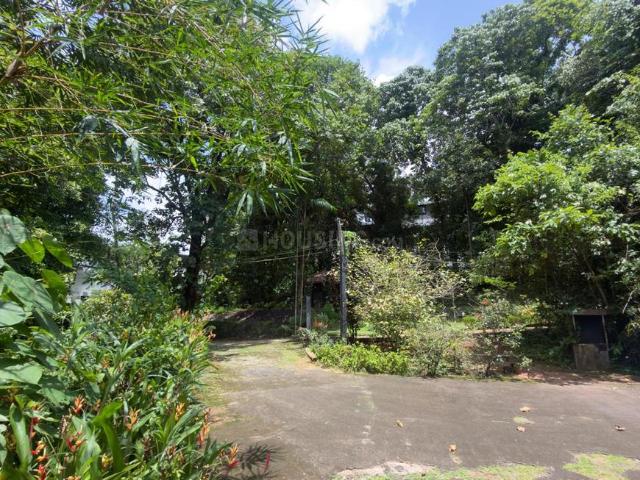 Residential Plot in Thrikkakara North for resale Kochi. The reference number is 20693185