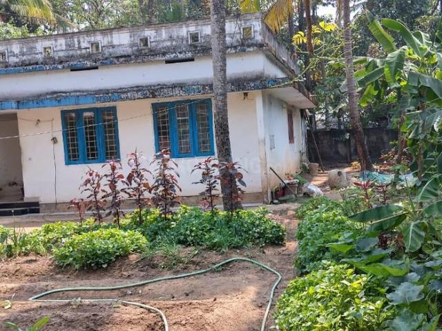 Residential Plot in Thrippunithura for resale Kochi. The reference number is 20742728
