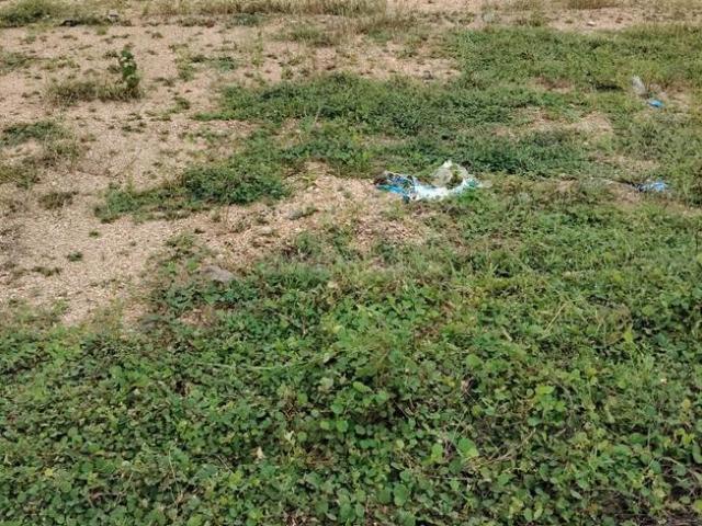 Residential Plot in Thummaloor for resale Hyderabad. The reference number is 19324283