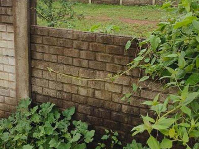 Residential Plot in Tifra for resale Bilaspur. The reference number is 20954219