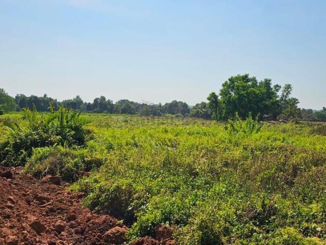 Residential Plot in Tivim for resale North Goa. The reference number is 17287269