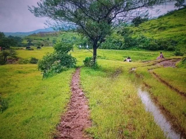 Residential Plot in Ulwe for resale Navi Mumbai. The reference number is 16894388