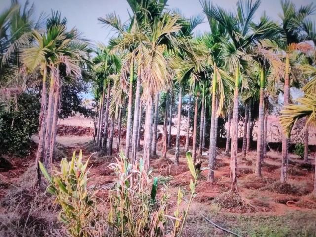 Residential Plot in Ulwe for resale Navi Mumbai. The reference number is 16895218