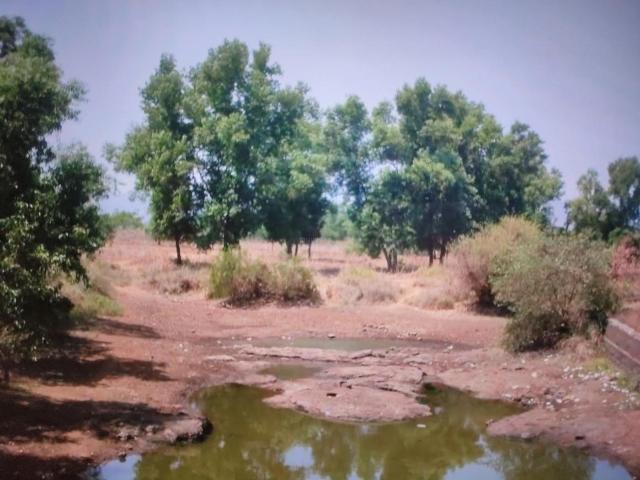 Residential Plot in Ulwe for resale Navi Mumbai. The reference number is 16896273