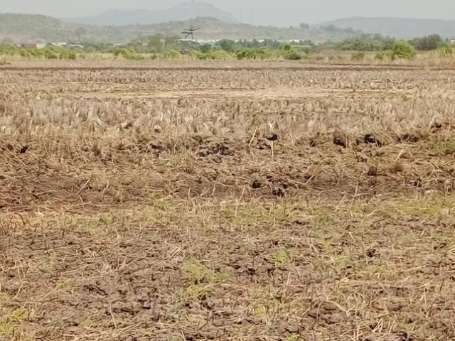 Residential Plot in Ulwe for resale Navi Mumbai. The reference number is 17853032
