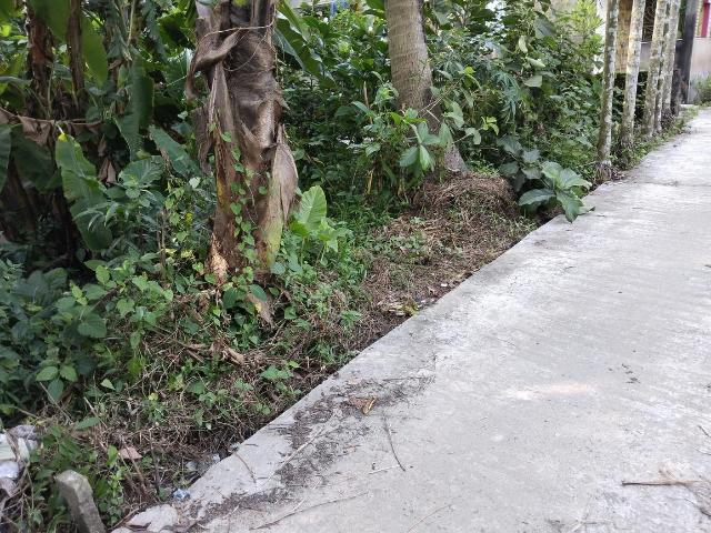 Residential Plot in Uluberia for resale Howrah. The reference number is 14507176