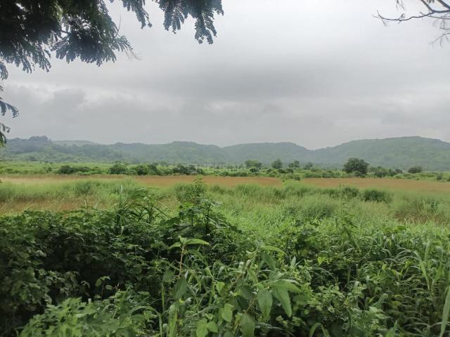 Residential Plot in Uran for resale Navi Mumbai. The reference number is 20092355