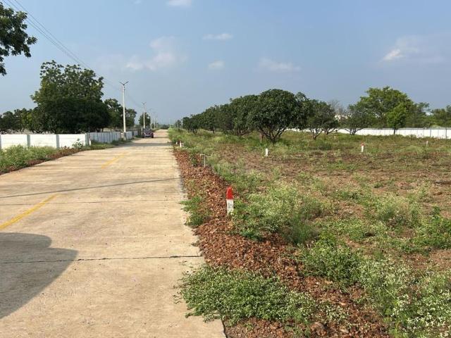 Residential Plot in Uruli Kanchan for resale Pune. The reference number is 18788365