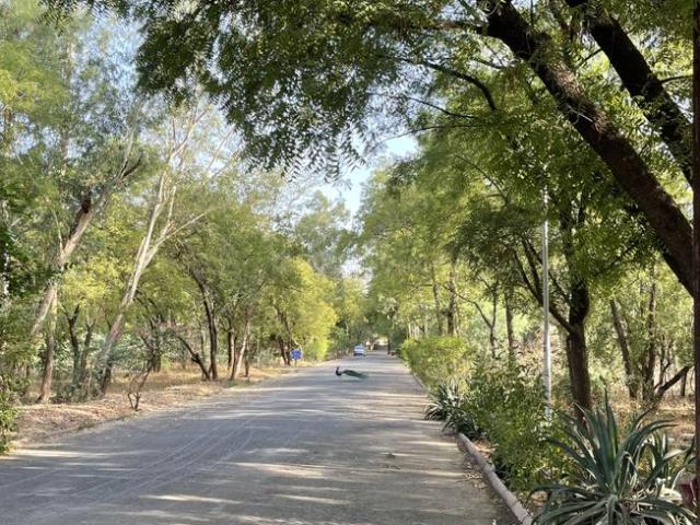 Residential Plot in Vaishno Devi Circle for resale Ahmedabad. The reference number is 20468710