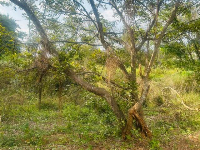 Residential Plot in Vajarahalli for resale Bengaluru. The reference number is 16277947