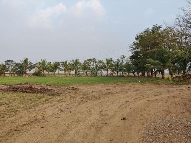 Residential Plot in Vanakala for resale Surat. The reference number is 17396389