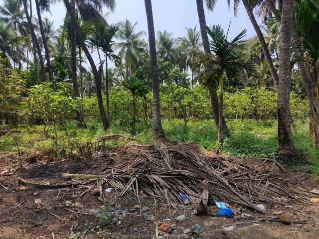Residential Plot in Vasai West for resale Vasai. The reference number is 8723365