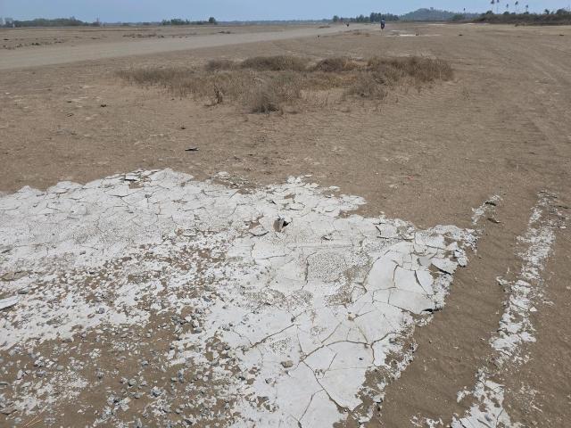 Residential Plot in Vasai West for resale Vasai. The reference number is 20230931