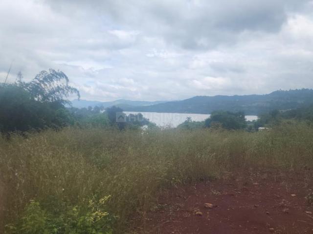 Residential Plot in Varasgaon for resale Pune. The reference number is 19288082