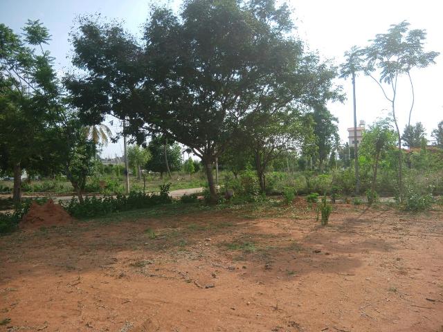Residential Plot in Madappanahalli, Anekal for resale Bengaluru. The reference number is 12603025