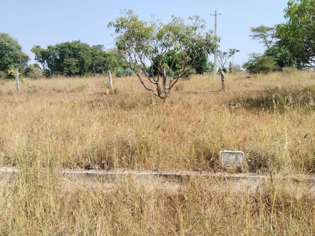 Residential Plot in Varuna for resale Mysore. The reference number is 19146544