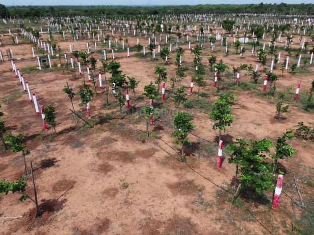 Residential Plot in Vengal for resale Chennai. The reference number is 20862824