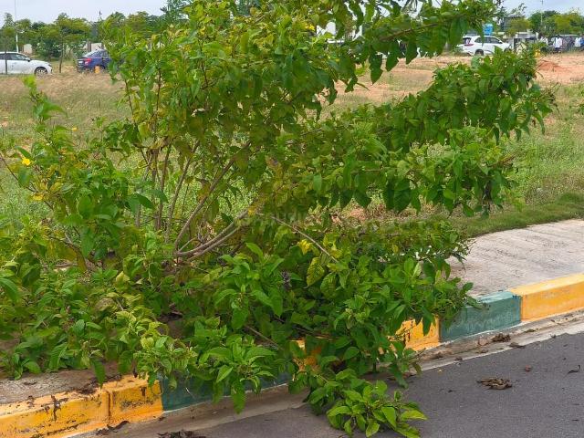 Residential Plot in Vikarabad Town for resale Vikarabad. The reference number is 18576621