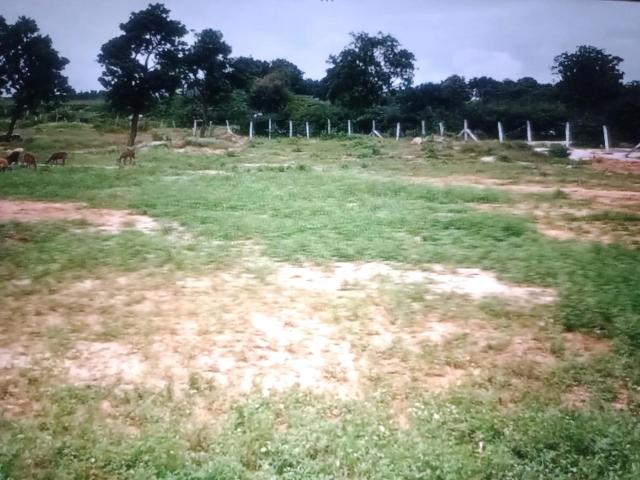 Residential Plot in Vindhane for resale Navi Mumbai. The reference number is 17780544