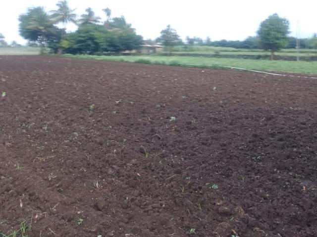 Residential Plot in Vindhane for resale Navi Mumbai. The reference number is 17882352