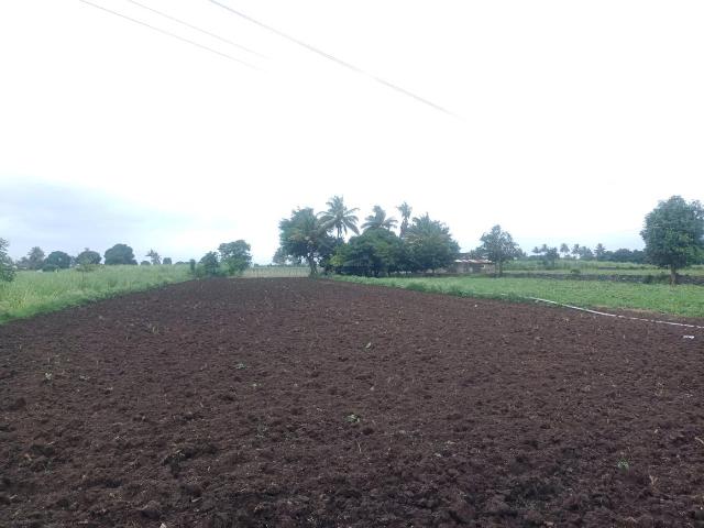 Residential Plot in Vindhane for resale Navi Mumbai. The reference number is 17882370