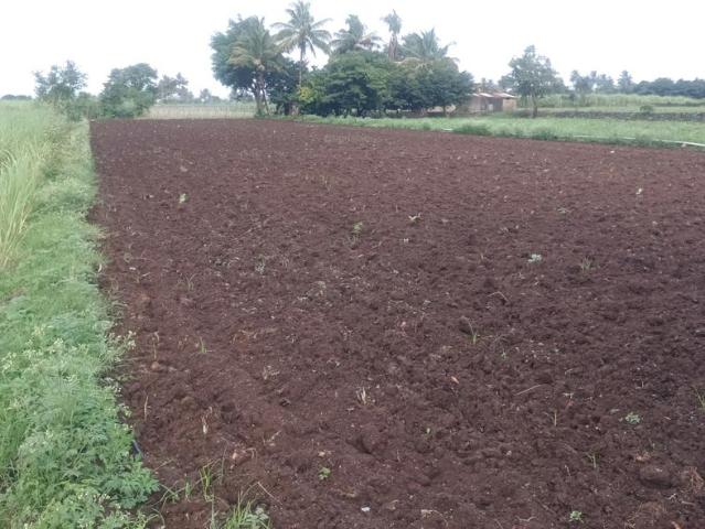 Residential Plot in Vindhane for resale Navi Mumbai. The reference number is 17882398