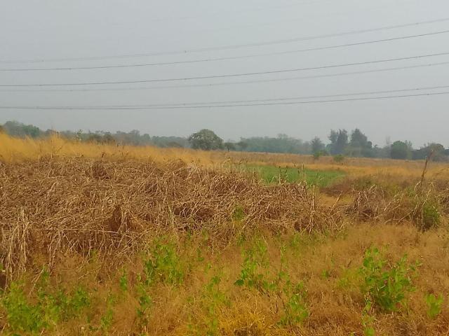 Residential Plot in Vindhane for resale Navi Mumbai. The reference number is 20493113
