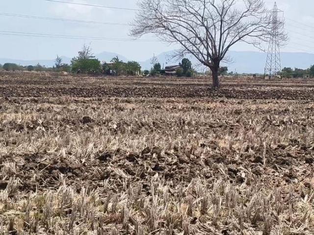Residential Plot in Vindhane for resale Navi Mumbai. The reference number is 20657421
