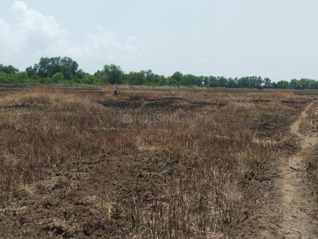 Residential Plot in Vindhane for resale Navi Mumbai. The reference number is 20119287