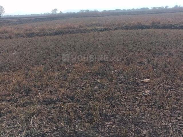 Residential Plot in Vindhane for resale Navi Mumbai. The reference number is 20135574