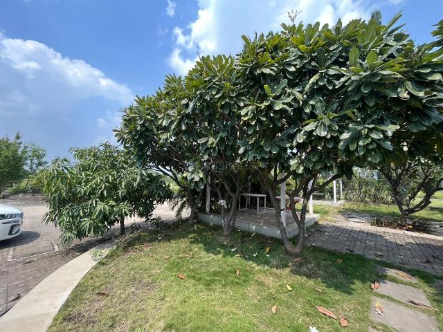 Residential Plot in Wagholi for resale Pune. The reference number is 8105888