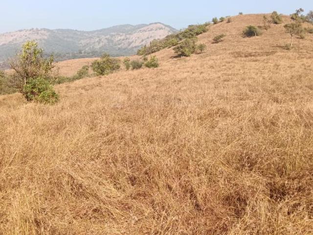 Residential Plot in Wai for resale Satara. The reference number is 20098698