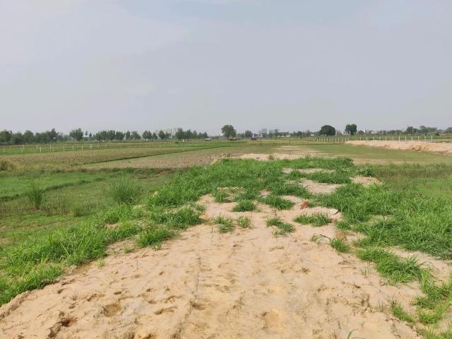 Residential Plot in Wave City for resale Ghaziabad. The reference number is 20710218