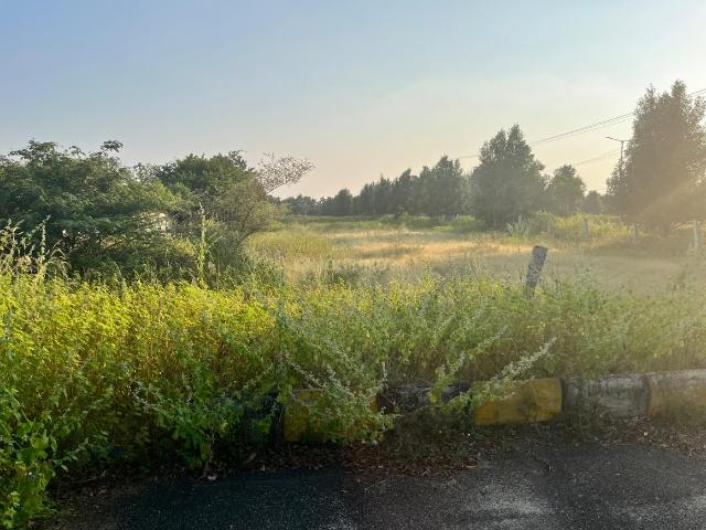 Residential Plot in Rayagiri Rural for resale Yadadri Bhuvanagiri. The reference number is 19776144