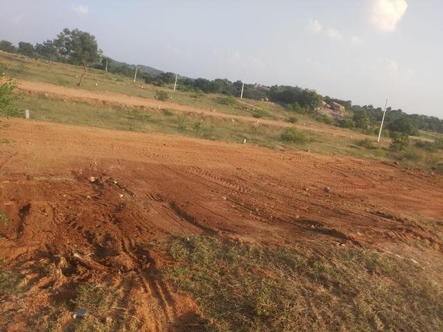 Residential Plot in Yadagirigutta for resale Yadadri Bhuvanagiri. The reference number is 8477758