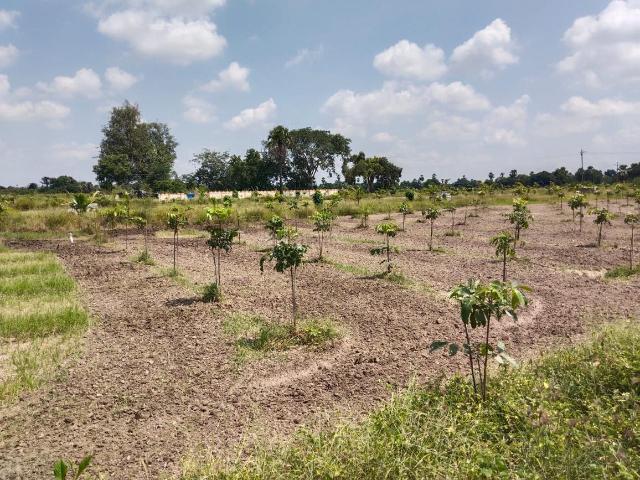 Residential Plot in Yadagirigutta for resale Hyderabad. The reference number is 17484379