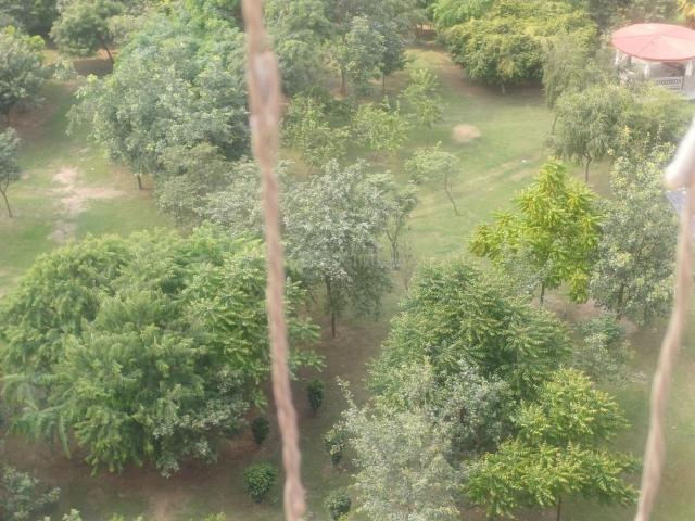Residential Plot in Yeida for resale Greater Noida. The reference number is 18455576