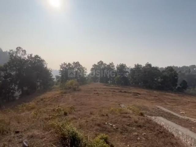 Residential Plot in Yeida for resale Greater Noida. The reference number is 19488717