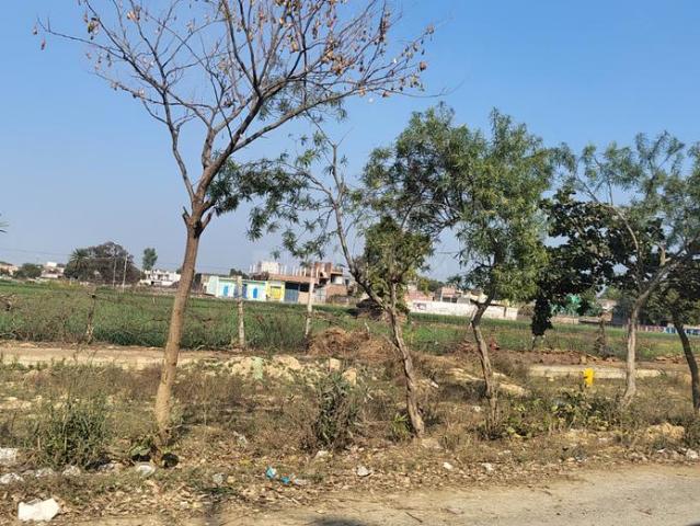 Residential Plot in Yeida for resale Greater Noida. The reference number is 19977041