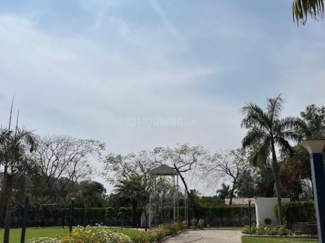 Residential Plot in Yeida for resale Greater Noida. The reference number is 20135300